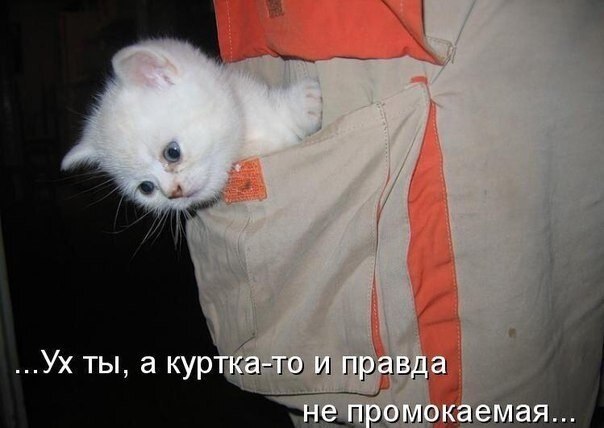 ��� �������� �������� - 23 ������ 2020 � 19:06