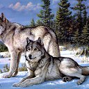 ���� Alex, �����, 56 ��� - ��������� 30 ���� 2020 � ������ ���� ����������