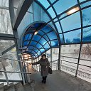 ���� �����, ������� - ��������� 8 ������ 2020 � ������ ���� ����������