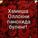 ���� ��������, �����, 68 ��� - ��������� 19 ��� 2020
