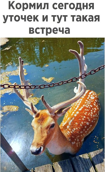 ��� ��� ������� , ���� �� �������.