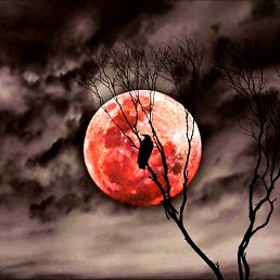 Red Moon,  