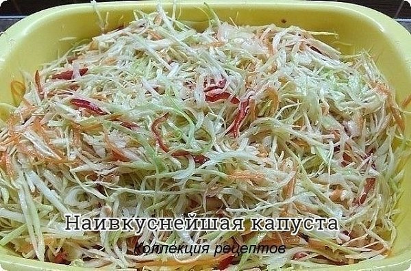 #заготовки #консервация.Капуста белокочанная / Капустa — 3 кгЛук репчатый — 500 гМорковь — 500 ...