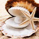 ���� ���������� ��������, �������, 50 ��� - ��������� 18 ������ 2020 � ������ ���� ����������