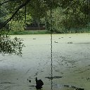  , --, 36  -  24  2020    Ȼ