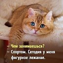 ���� ����, ���� - ��������� 19 ������ 2020