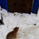 ���� ����, ���������, 50 ��� - ��������� 11 ������� 2020 � ������ ���� ����������