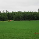 ���� ��������, Kouvola, 78 ��� - ��������� 10 ���� 2020 � ������ ��� ����...�