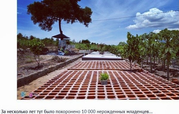 Удивительный человек, сохранивший детские жизни - 5