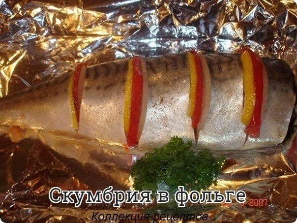 #рыба.Ингредиенты:- 2 скумбрии- 1 помидор- 1 луковица- 1 лимон- зелень- соль, перец- майонезРыбу ...