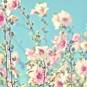 ���� Gala, ������, 59 ��� - ��������� 14 ������ 2020 � ������ ������ ��������