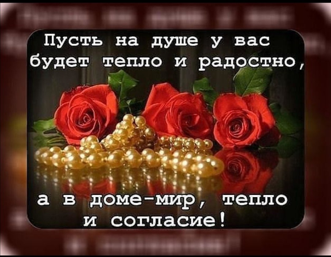 ПРИВЕТСТВИЯ и ПОЖЕЛАНИЯ, открытки на каждый день. опубликовал пост от 11  февраля 2020 в 09:43 | Фотострана | Пост №2105670118