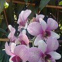 ���� ����, ������� ����, 63 ���� - ��������� 18 ����� 2020 � ������ ���� ����������