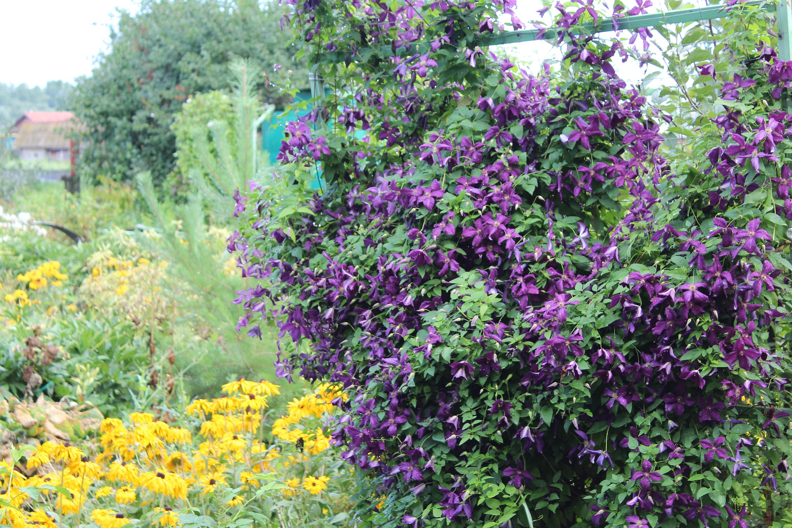 ������!�������� � ��� ����.������ ����� ��� �������,�� ���� ���,���� � ��,��� ������ �� ��� ����,� ... - 2