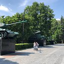 ���� ���������, ������, 48 ��� - ��������� 10 ���� 2020 � ������ ������ ��������