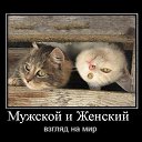 ���� �������, �����, 49 ��� - ��������� 28 ������� 2020 � ������ ������ ��������