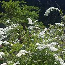 ���� Olgai, ���������, 48 ��� - ��������� 15 ���� 2020 � ������ ���� ����������