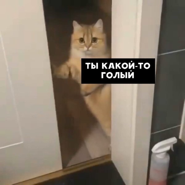   - 4