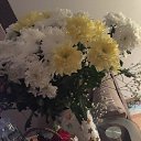 ���� ��������, �����-���������, 61 ��� - ��������� 16 ����� 2020 � ������ ���� ����������