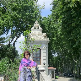 ������, ������, 45 ���