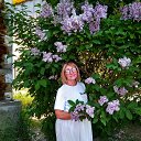 ���� �����, ������� - ��������� 15 ���� 2020 � ������ ������ ��������