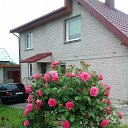 ���� ����������, �������, 74 ���� - ��������� 22 ���� 2020 � ������ ���� ����������