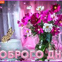 ���� ����, ������� - ��������� 21 ����� 2020 � ������ ���� ����������