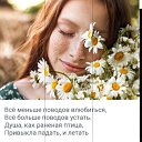 ���� �����������, �����-��������� - ��������� 27 ���� 2020 � ������ ���� ����������