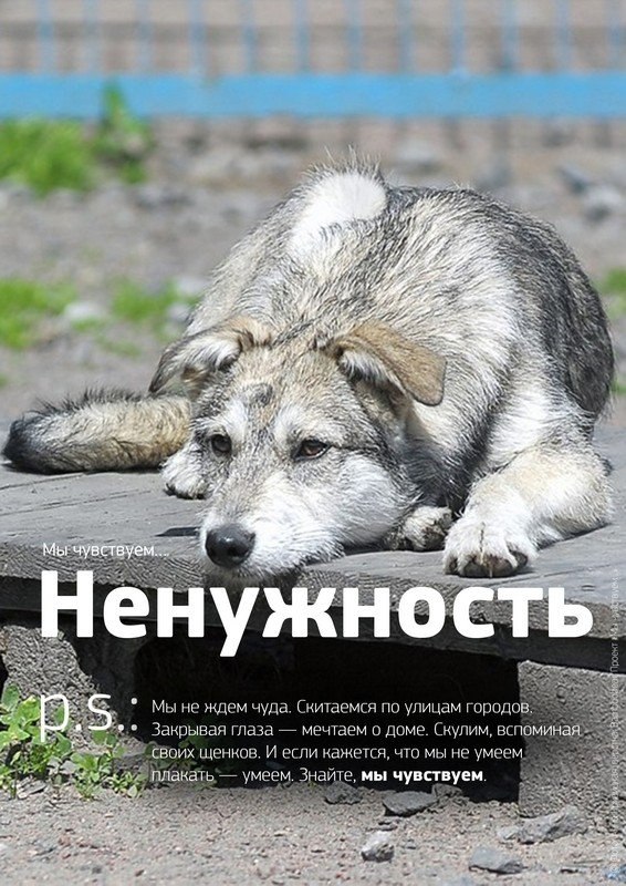 ������������� ���������� ��� ���c����셻.������������ � ���, ��� � � ��������� �������� ���� ... - 6