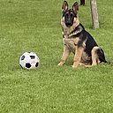 ���� �������, �����, 64 ���� - ��������� 10 ���� 2020 � ������ ������ ��������