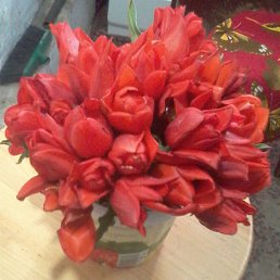 ???, ���������, 56 ���