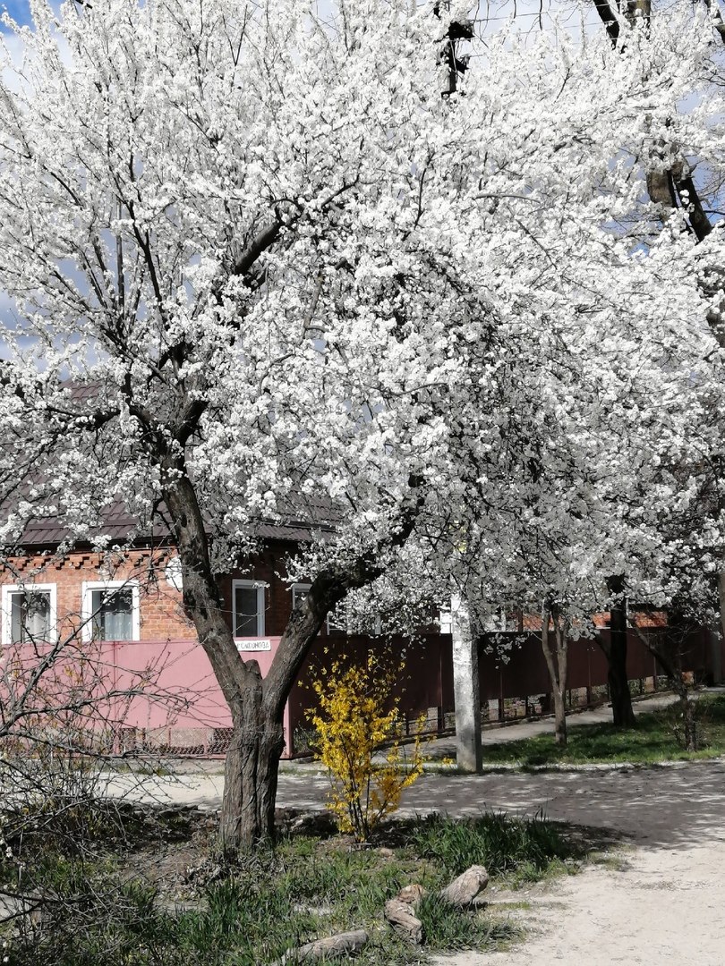 ����� ������ - 11 ������ 2020 � 12:24