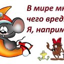 ���� ������, ���������, 47 ��� - ��������� 13 ����� 2020 � ������ ���� ����������