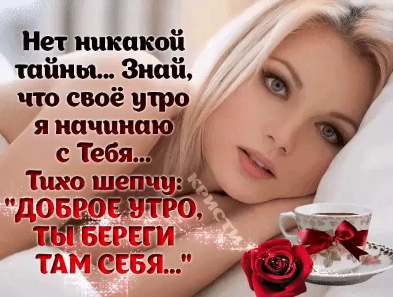 И ни капельки не стыдно И ни капельки не стыдно