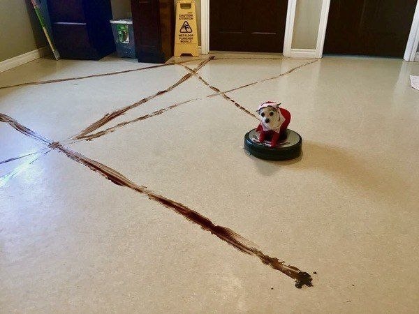 ��� ���� ������ ���� ��������� ������ � ������� �� ���� �����