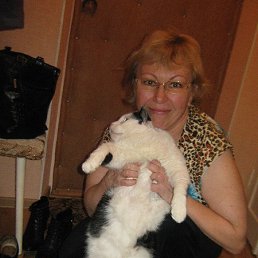 ������, �����, 66 ���