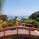 ���� �������, �����������, 66 ��� - ��������� 20 ���� 2020 � ������ ���� ����������