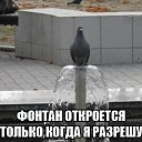 ���� ��� � �����, �������� - ��������� 1 ���� 2020 � ������ ������ ��������