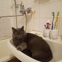 ���� �����, ������������, 54 ���� - ��������� 20 ������ 2020 � ������ ���� ����������