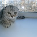 ���� ����, ������ �����, 70 ��� - ��������� 9 ������� 2020 � ������ ���� ����������