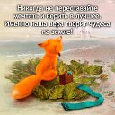 ���� �����, ������� �������� - ��������� 6 ���� 2020 � ������ ������ ��������