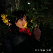 Nika-net, , ��������