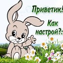 ���� ����, ���������, 50 ��� - ��������� 9 ��� 2020 � ������ ���� ����������