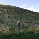  ,  , 42  -  20  2020    