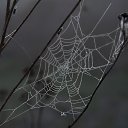 ���� ��������, ����� - ��������� 26 ��� 2020 � ������ ��������