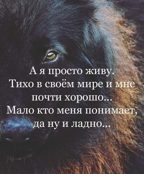 Мир зубаст как крокодил, Но и мы не дураки, Чтоб он нас не проглотил, Создаем свои мирки.