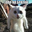 ���� �� �������� ������ ����, ������ - ��������� 10 ������� 2020 � ������ ���� ����������