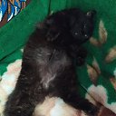 ���� Hamdan, �������� - ��������� 31 ����� 2020 � ������ ���� ����������