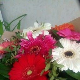 �����, �����, 69 ���