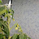 ���� ����, �������, 49 ��� - ��������� 20 ������� 2020 � ������ ��������� ��������